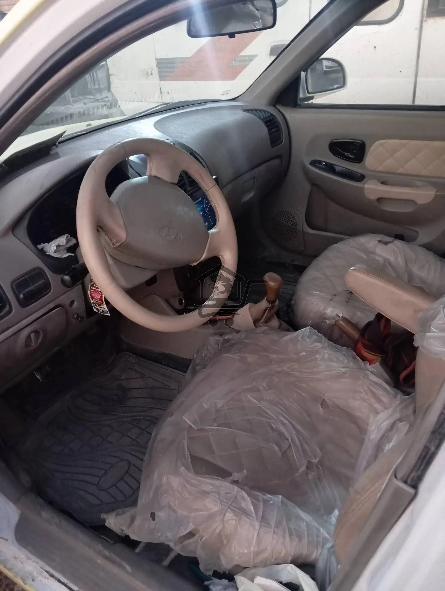 فيرنا. هندية 2009 - الصورة 6