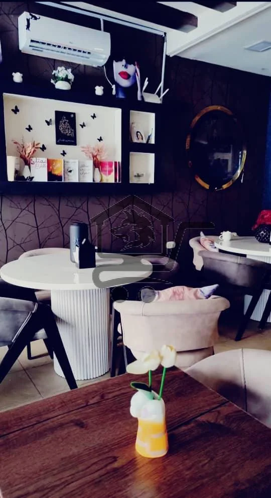 كافيتيريا القطط 🐱 - الصورة 2