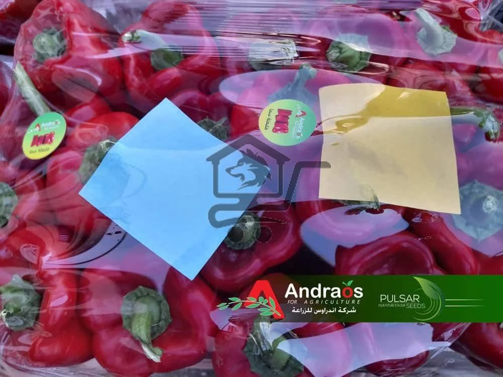 أندراوس_للزراعة - الصورة 3