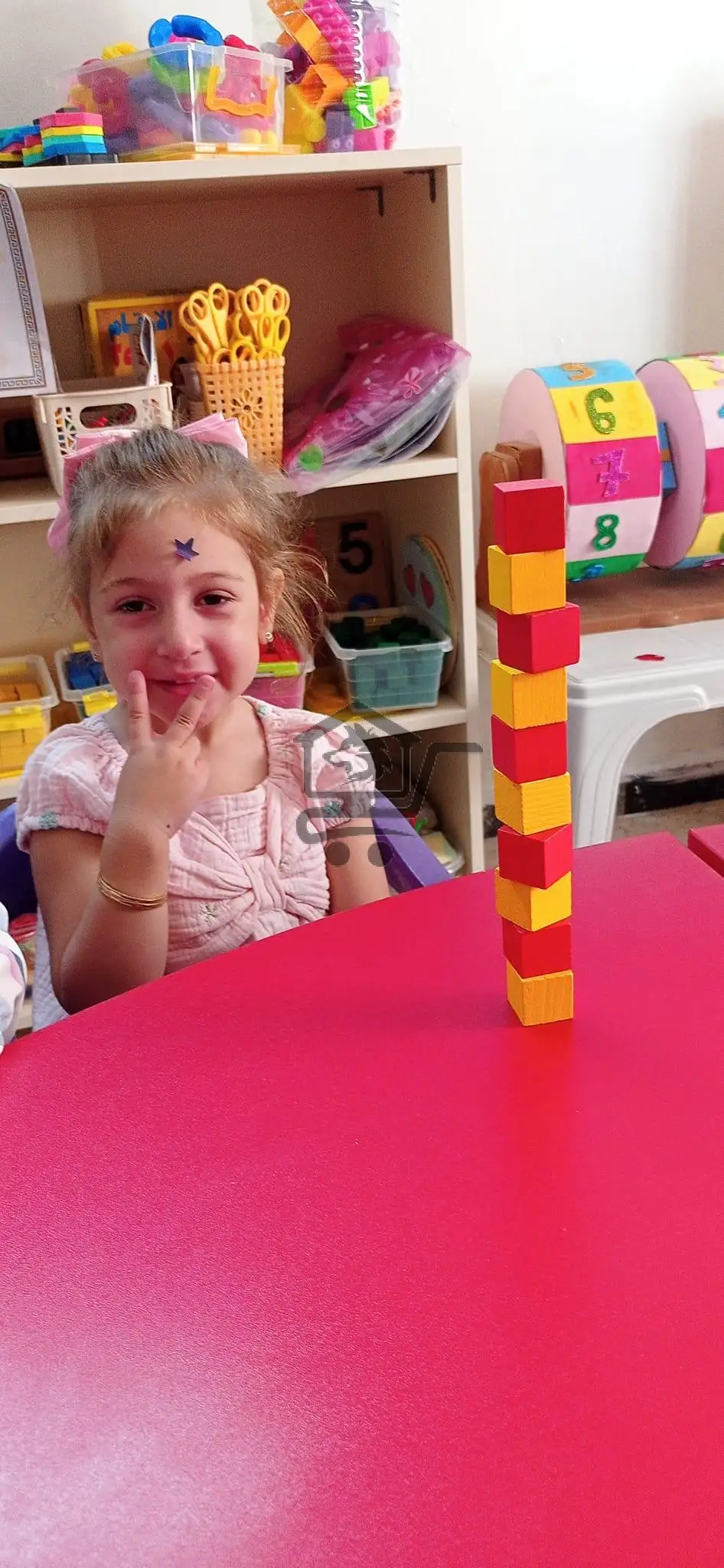 روضة البشائر - الصورة 4