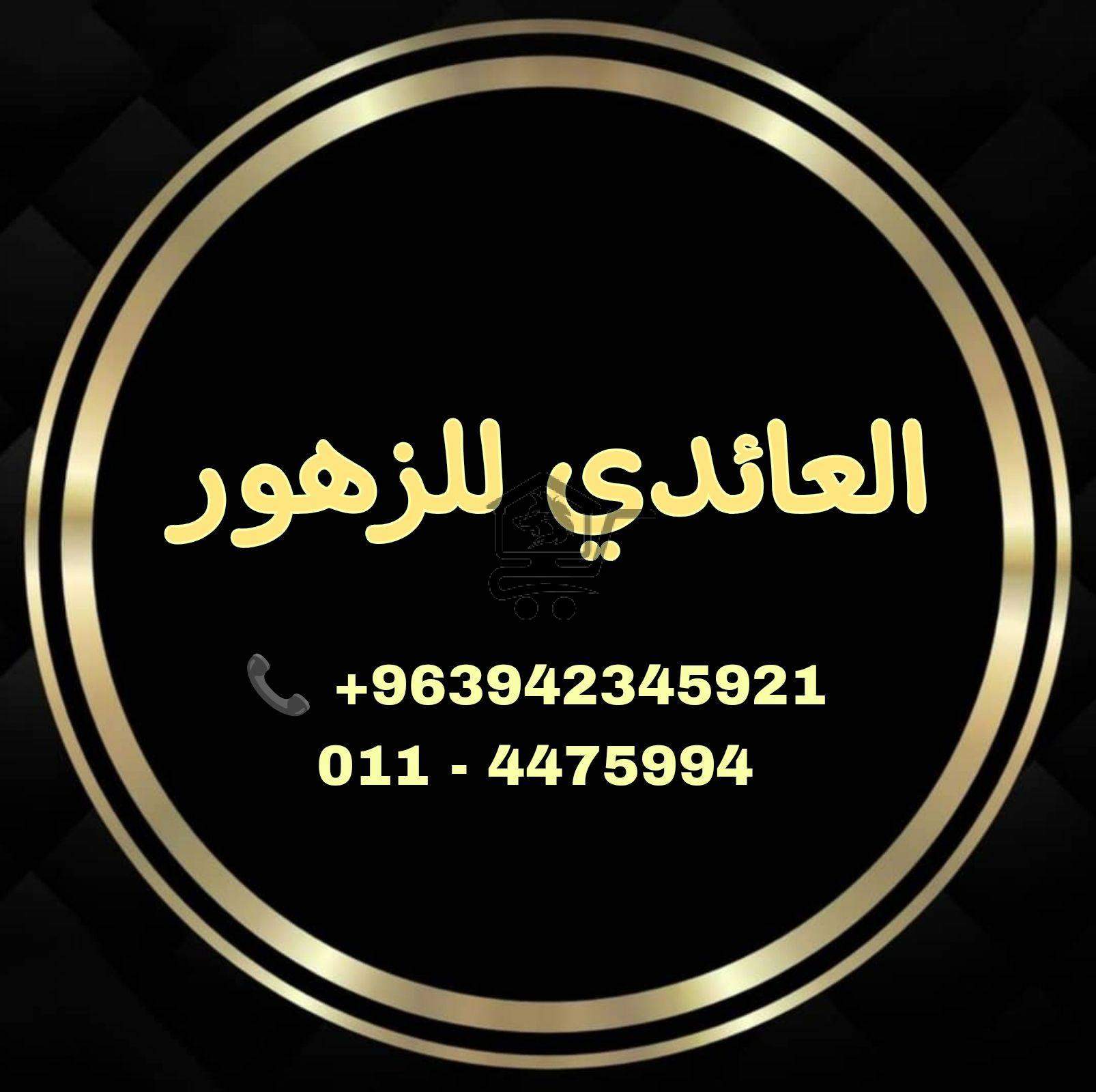 أزهار العائدي - الصورة 1