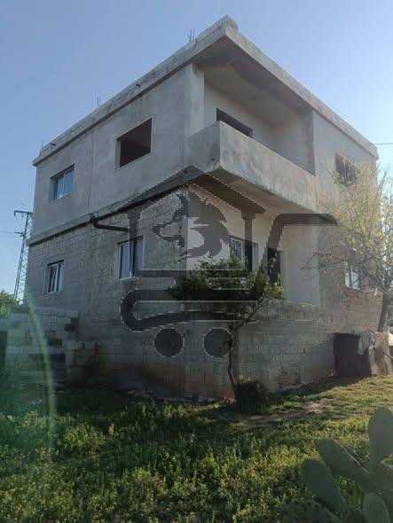 عرض ضمن اسطامو - الصورة 1