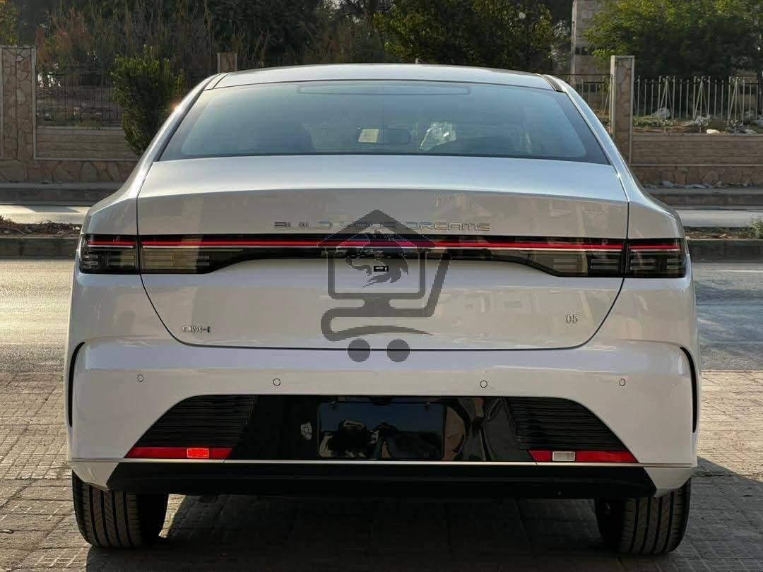 BYD Destroyer - الصورة 8