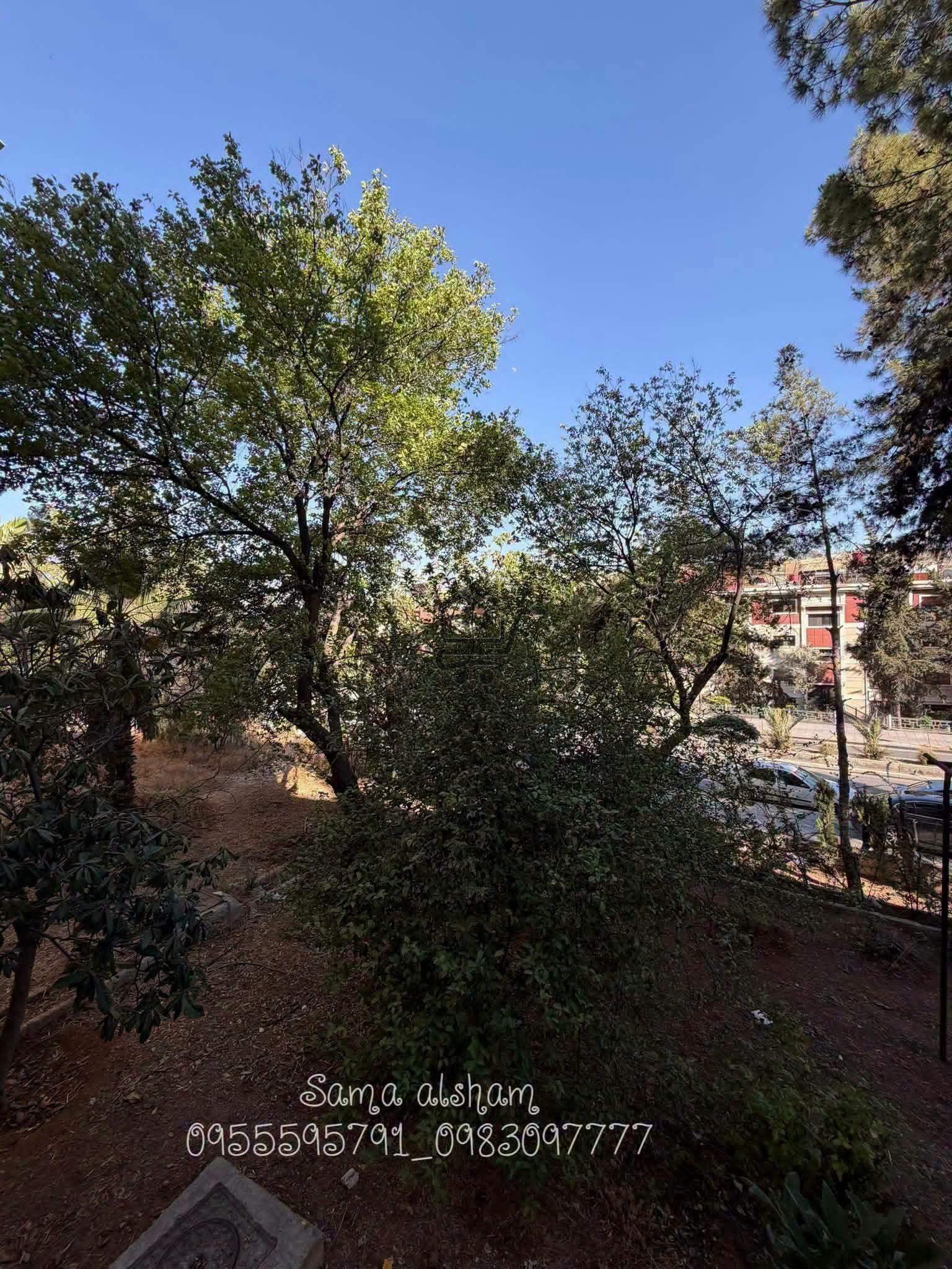 شقة فاخرة للبيع - الصورة 7