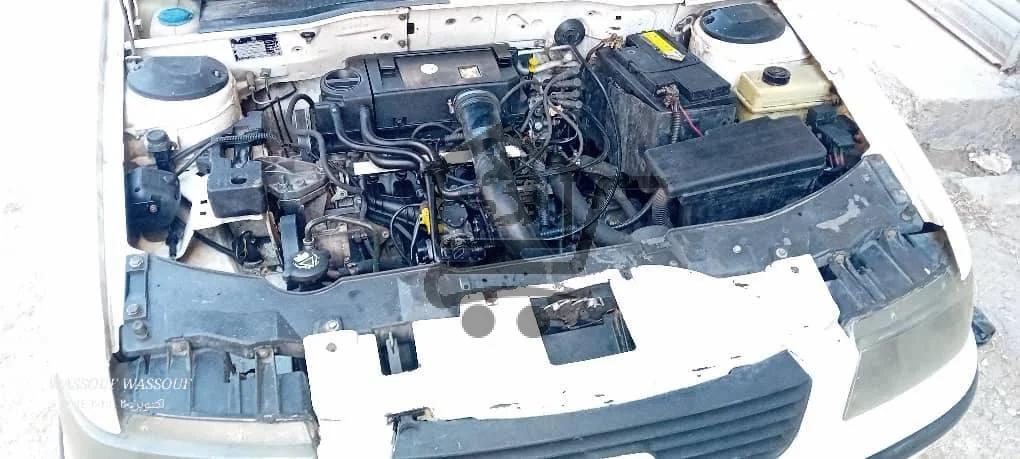 شام ٢٠٠٨ - الصورة 6