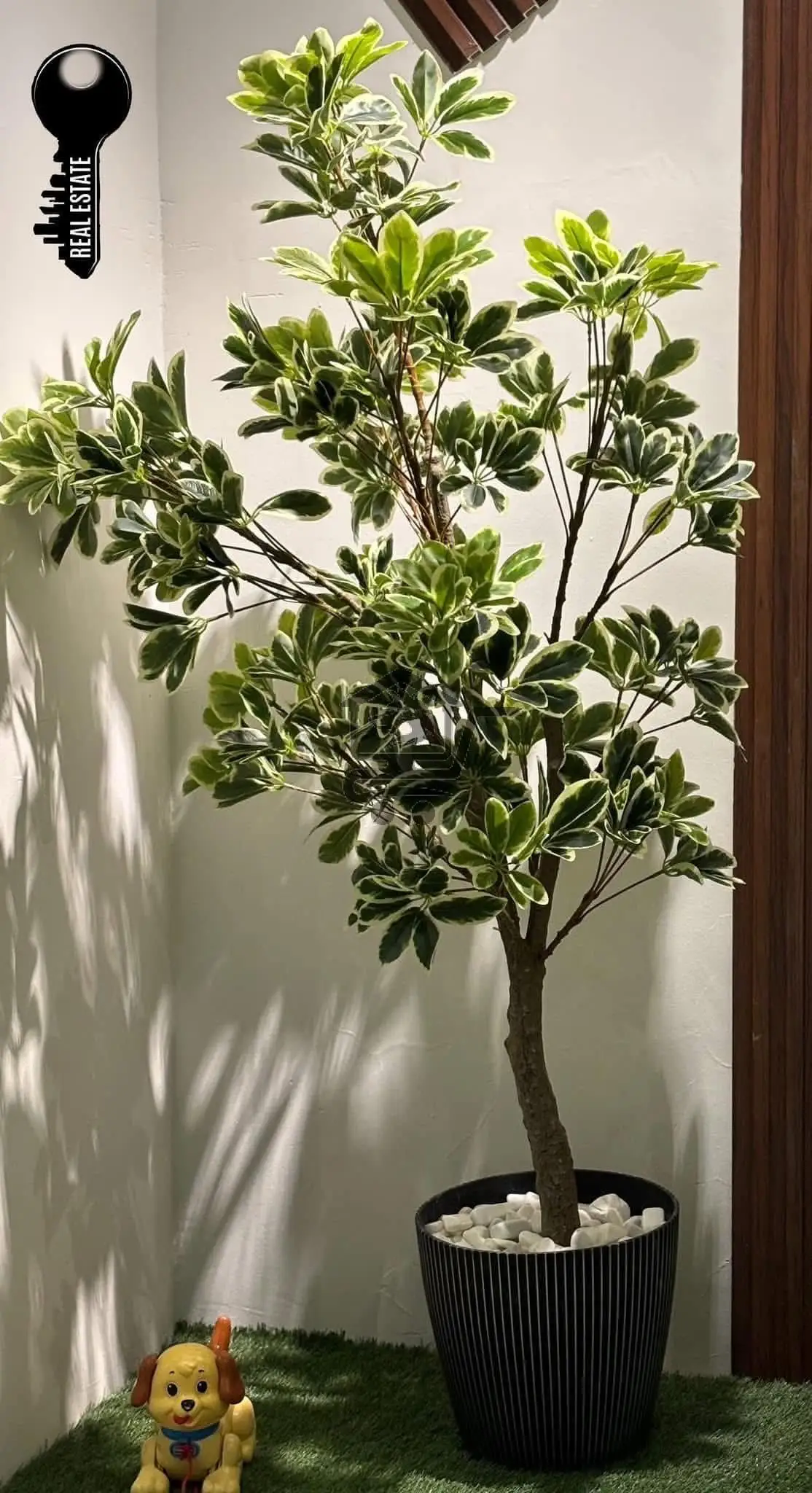 شقة ببناء برجي مميز - الصورة 3