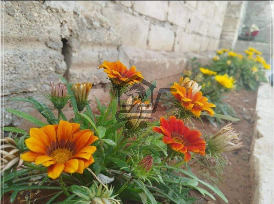 بناء كامل بسعر منطقي - الصورة 8