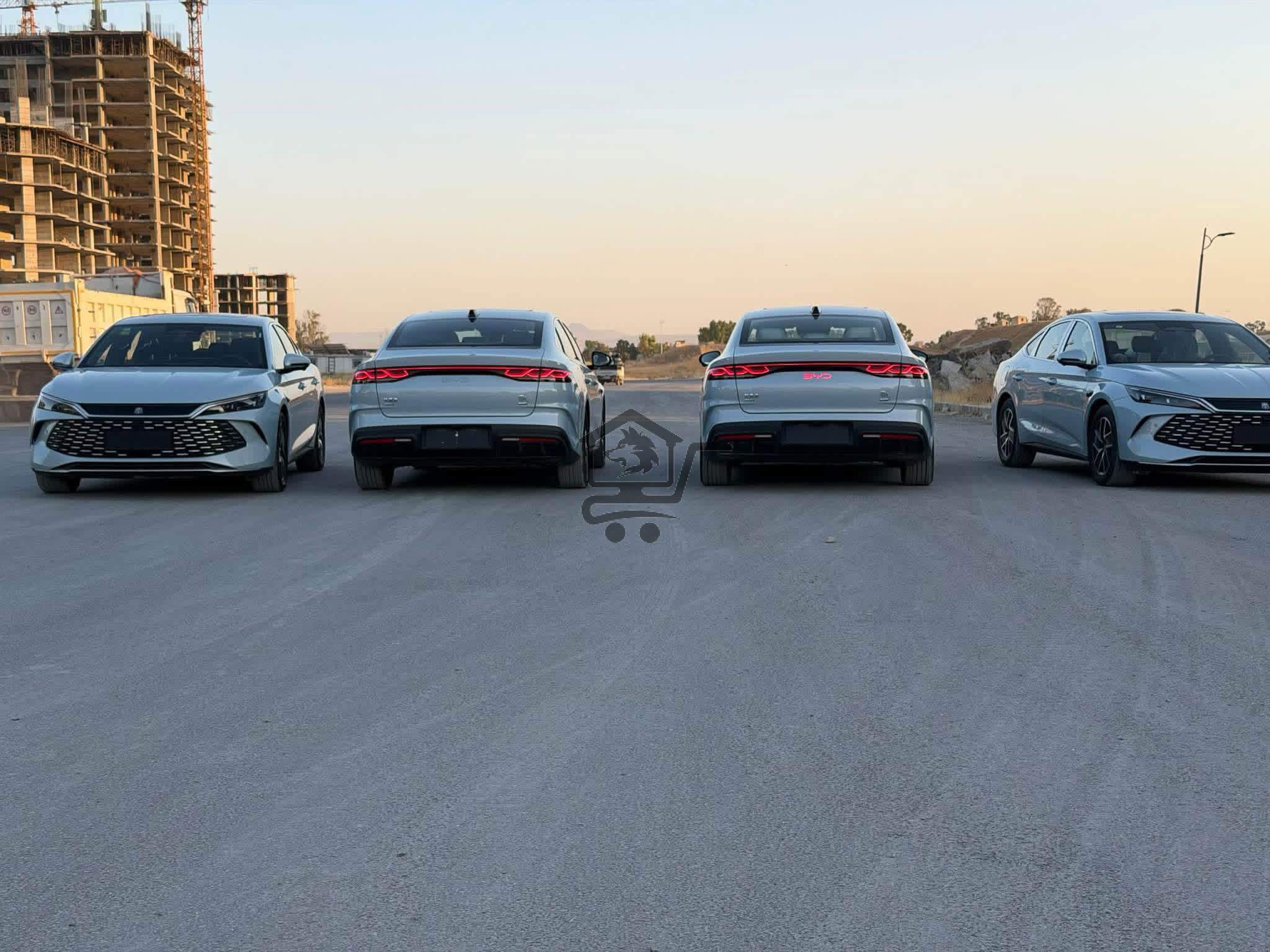 BYD - الصورة 2