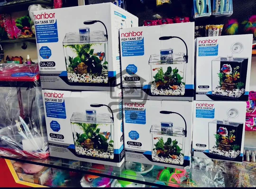 😺لارا كات (جنة الحيوانات الأليفة🐟) - الصورة 2