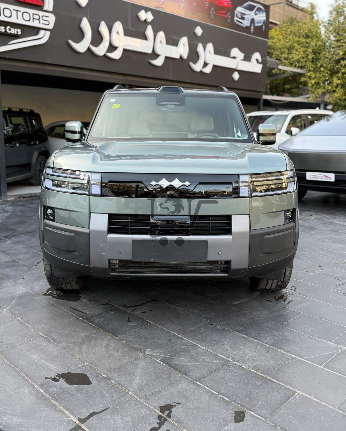 BYD - الصورة 1