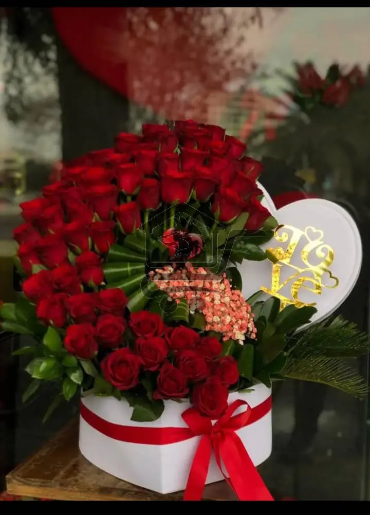 سلامة روز - الصورة 1