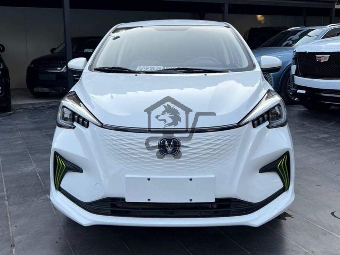 Changan E-star Med - الصورة 1