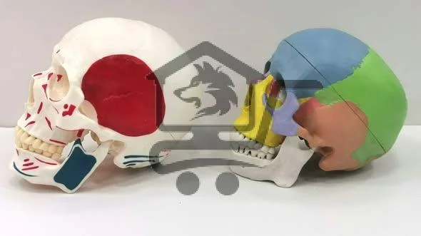 المركز الأكاديمي للكتاب - الصورة 4