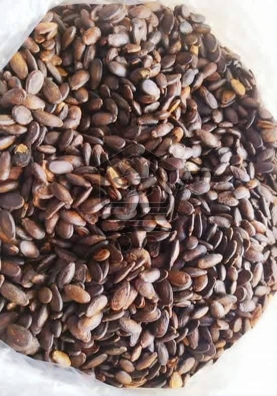 محمصة الأفندي - الصورة 3