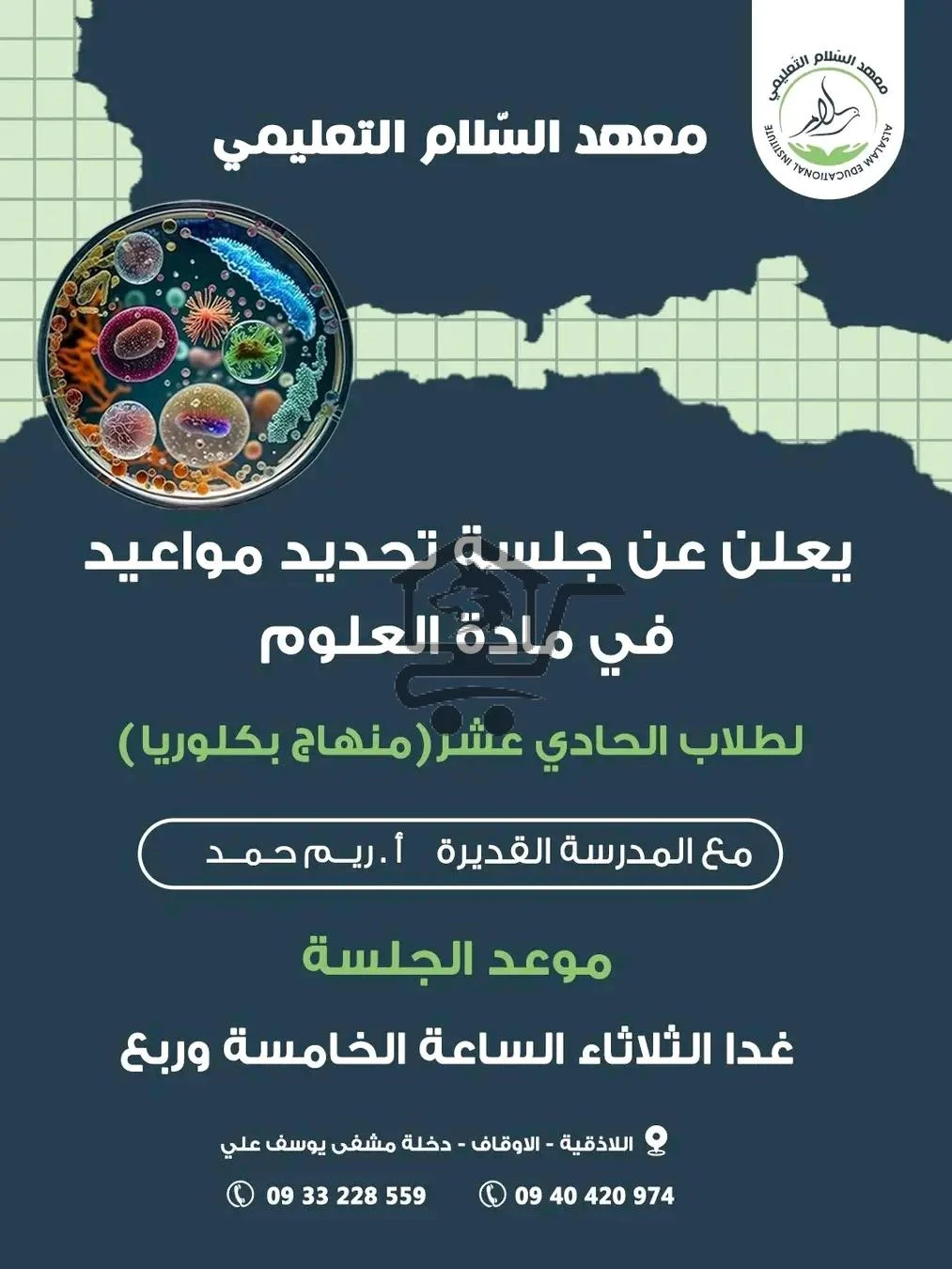 معهد السلام التعليمي - الصورة 6