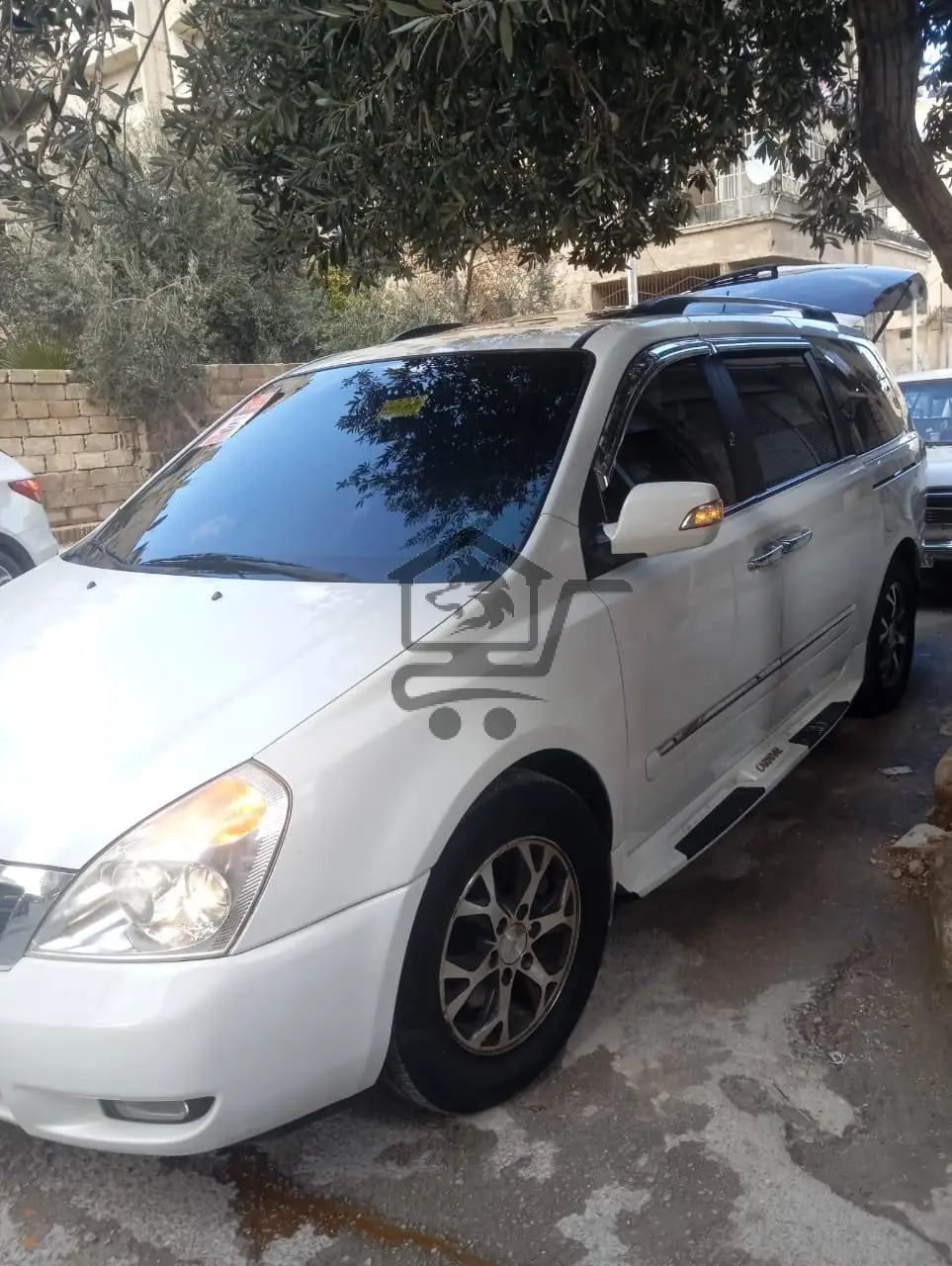 كرنفال دي ام2013 - الصورة 1