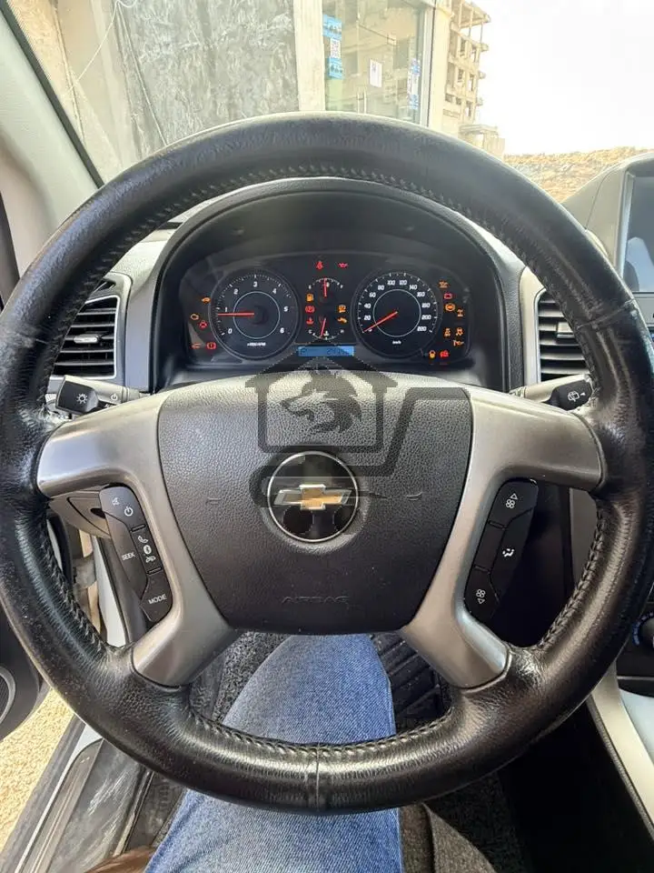 شفر كابتيفا مازوت 2011 - الصورة 8