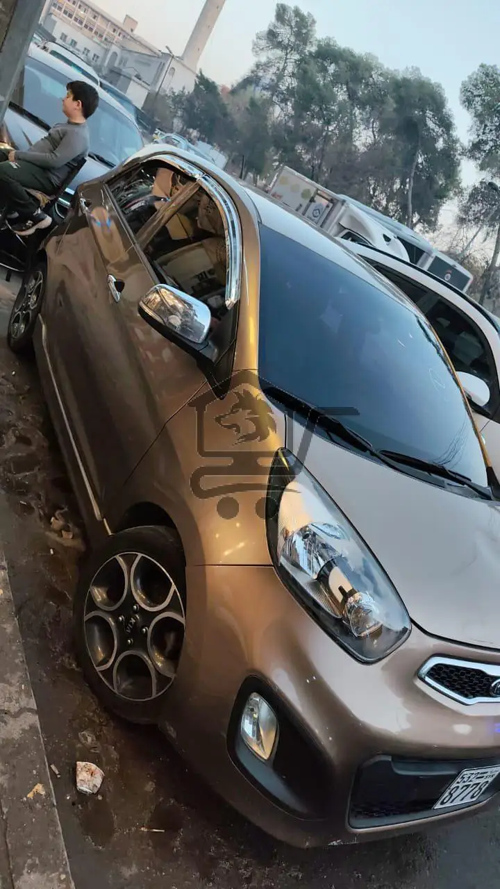 مورننغ 2012 - الصورة 1