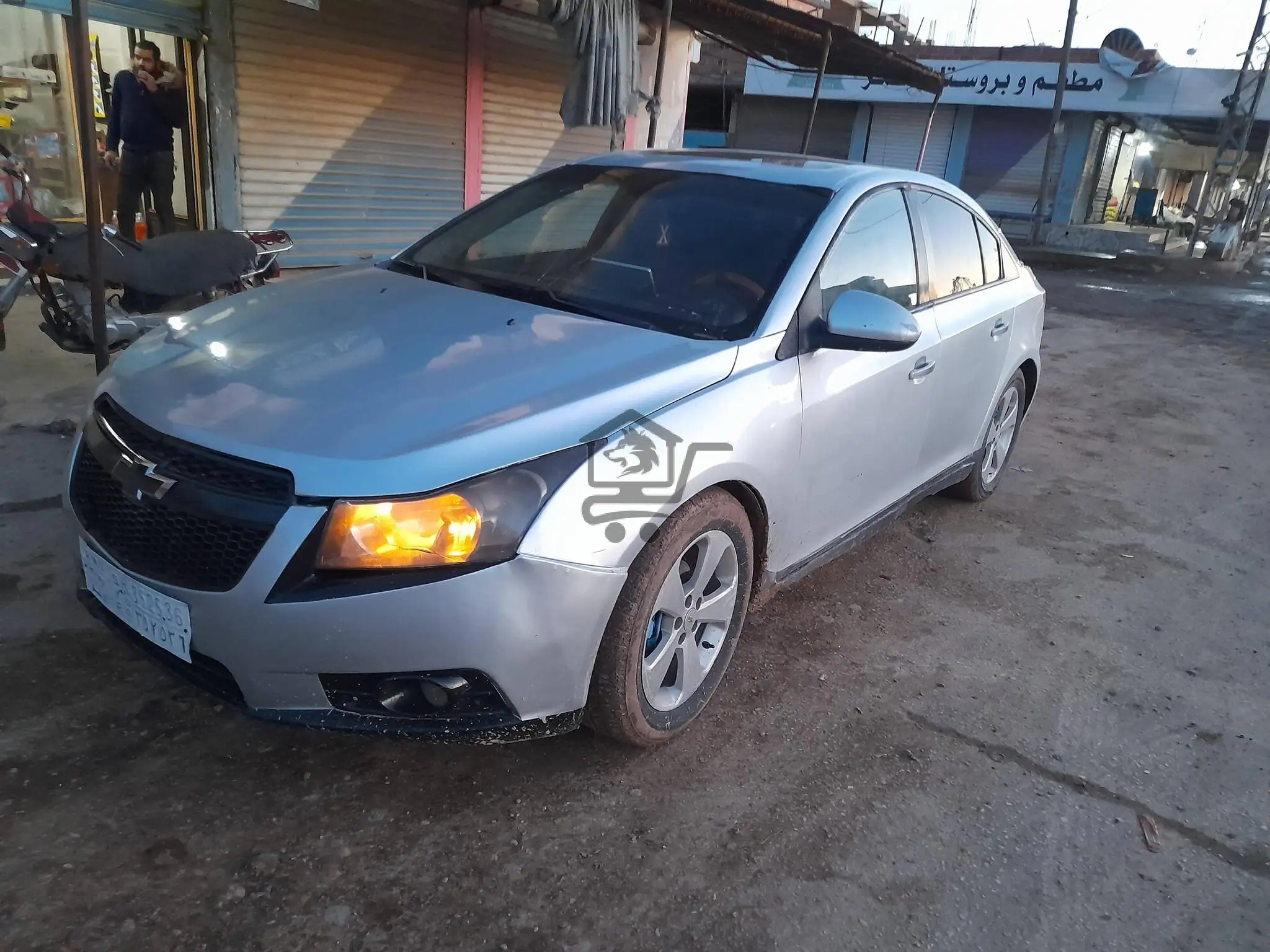 شفر كروز  2010 - الصورة 4