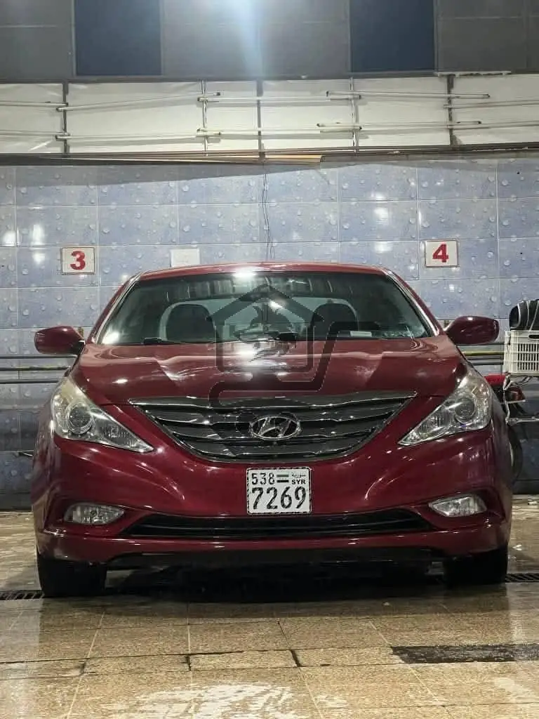 سوناتا وارد امريكي - الصورة 1