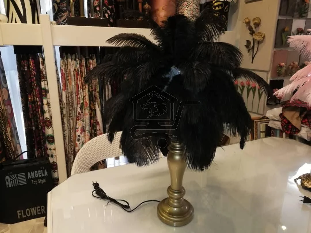 لمبدير ريش - الصورة 3