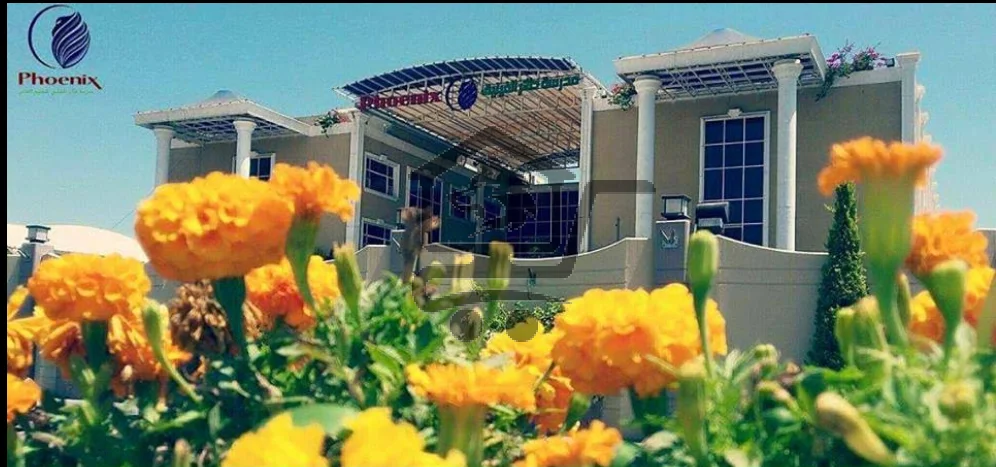 مدرسة وروضة طائر الفينيق الخاصة - الصورة 1