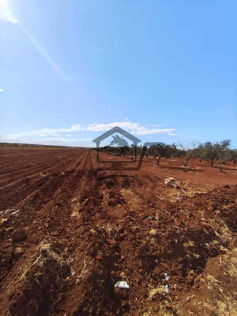 أرض زراعية للبيع