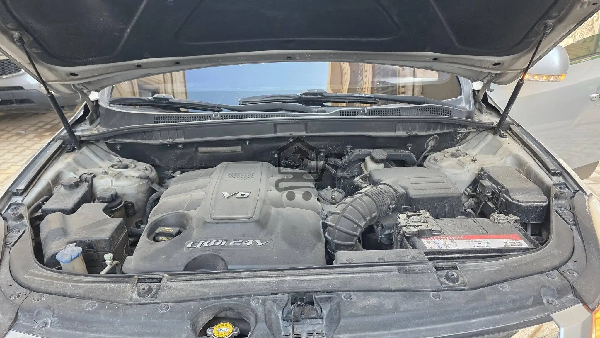 فيراكروز 2009 - الصورة 9