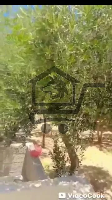 ريف دمشق طريق حمص - الصورة 2