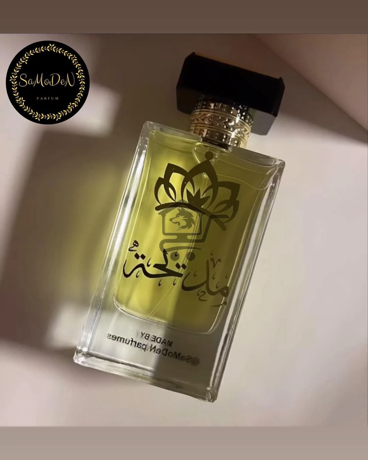 SaMoDeN - الصورة 3