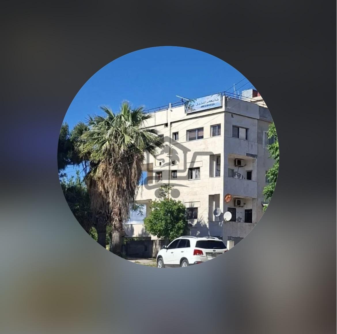 شاليهات النخيل - الصورة 1