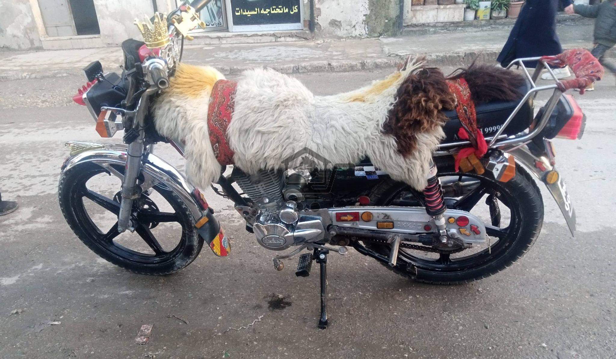 موتور للبيع - الصورة 2