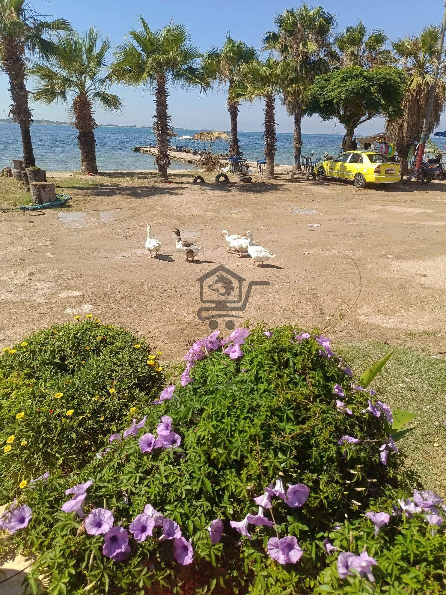 شاليهات الشاطئ الأزرق - الصورة 1