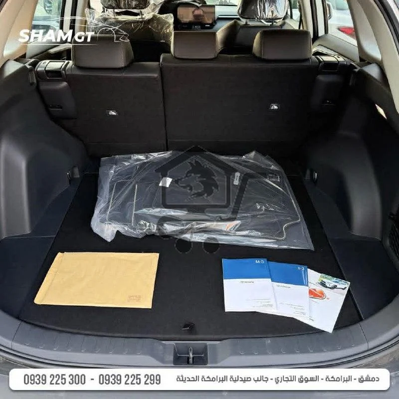 TOYOTA RAV4 HYBRID - الصورة 9