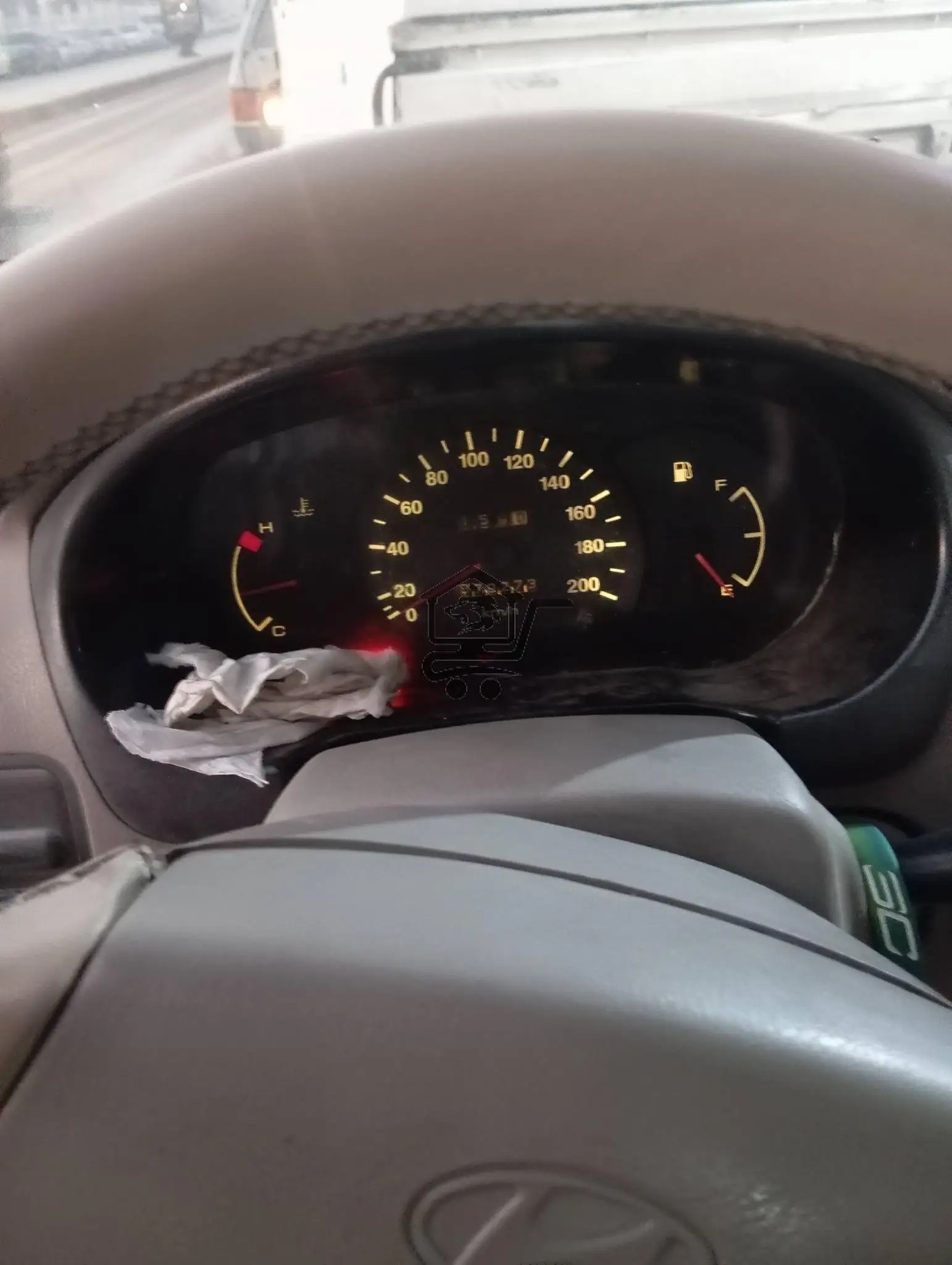 فيرنا. هندية 2009 - الصورة 5