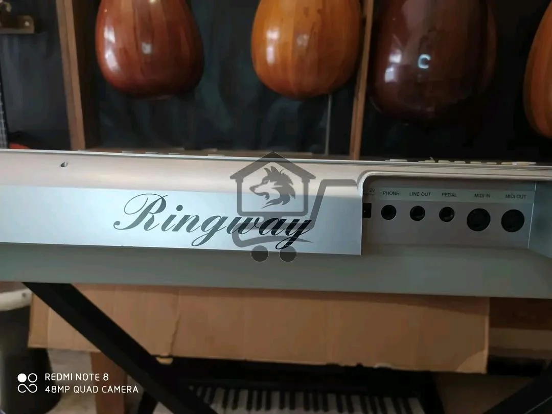 معهد سوناتا-Sonata Institute - الصورة 1