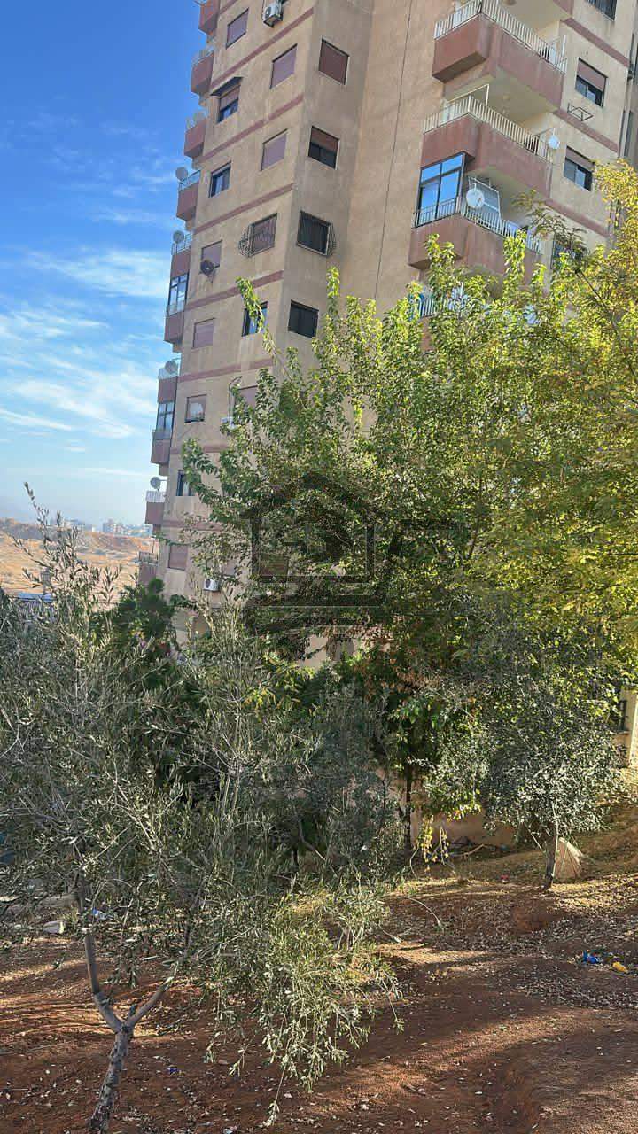 شقة مؤلفة من غرفتين بإطلالة مفتوحة - الصورة 1