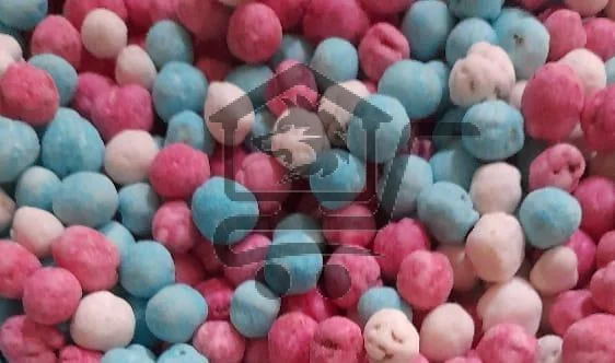 محمصة نجم الكاردينيا - الصورة 2