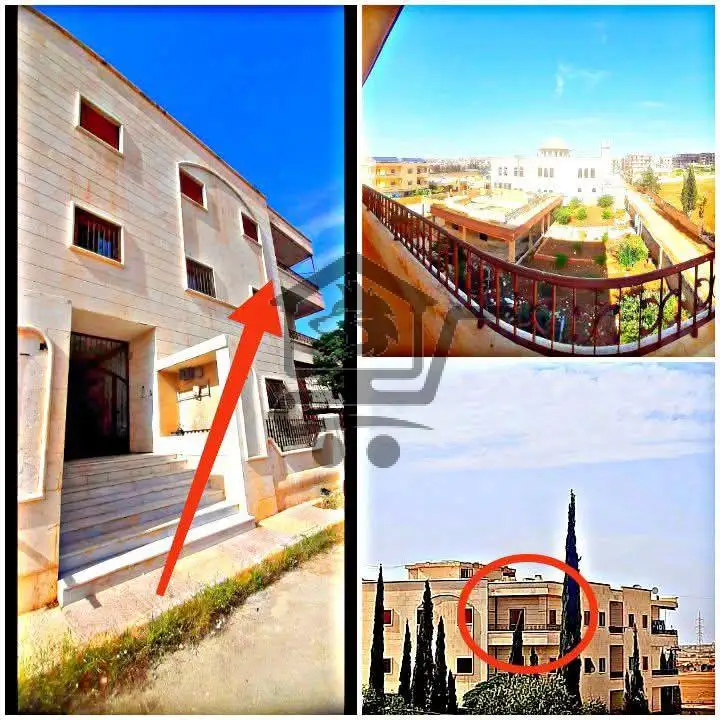 حلب حريتان / الهراميس