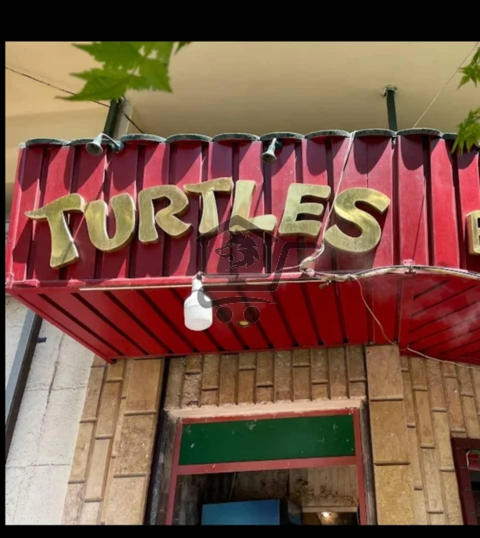 السلاحف - الصورة 2