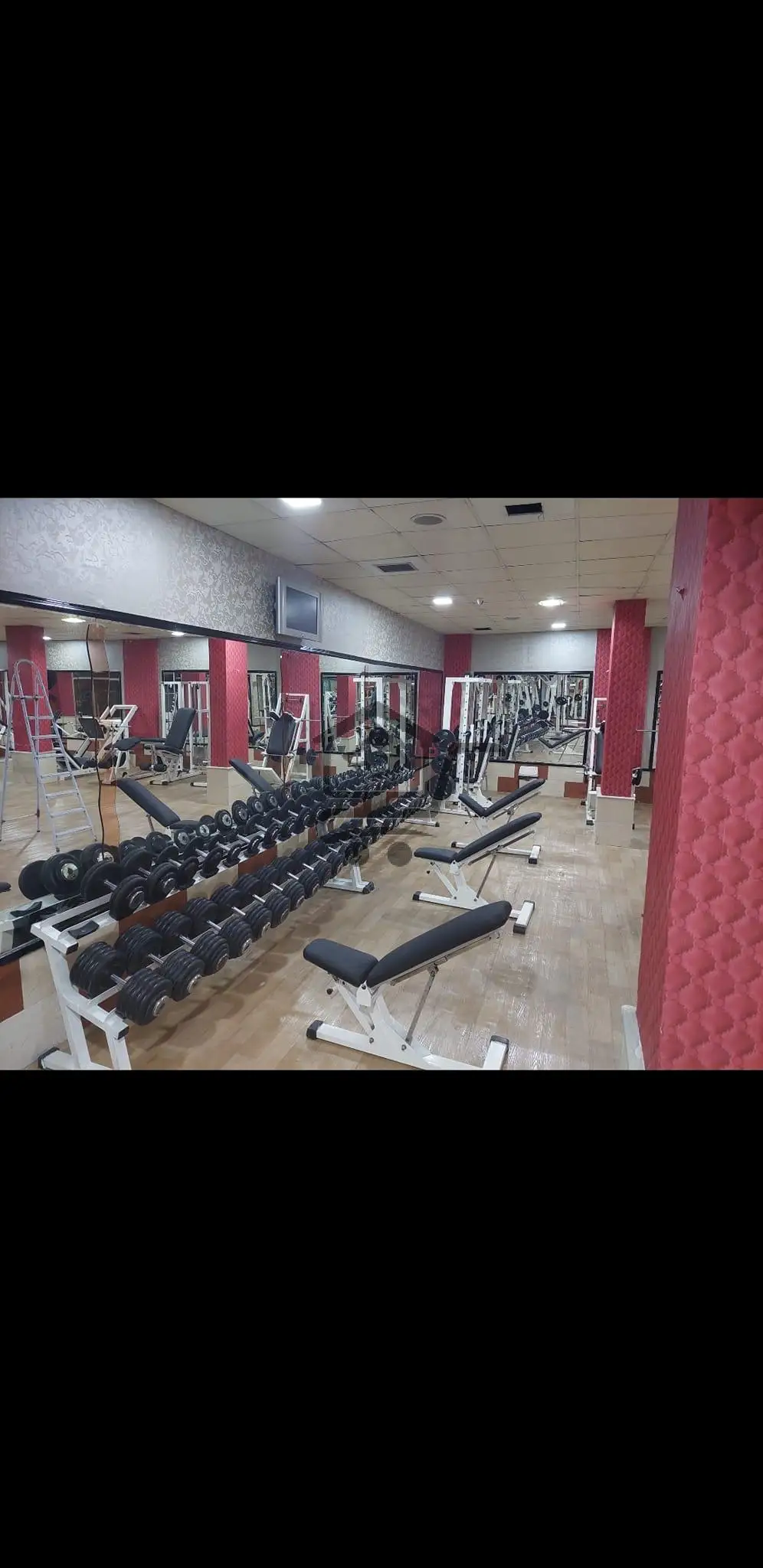 نادي المدينة الرياضي City GYM - الصورة 4
