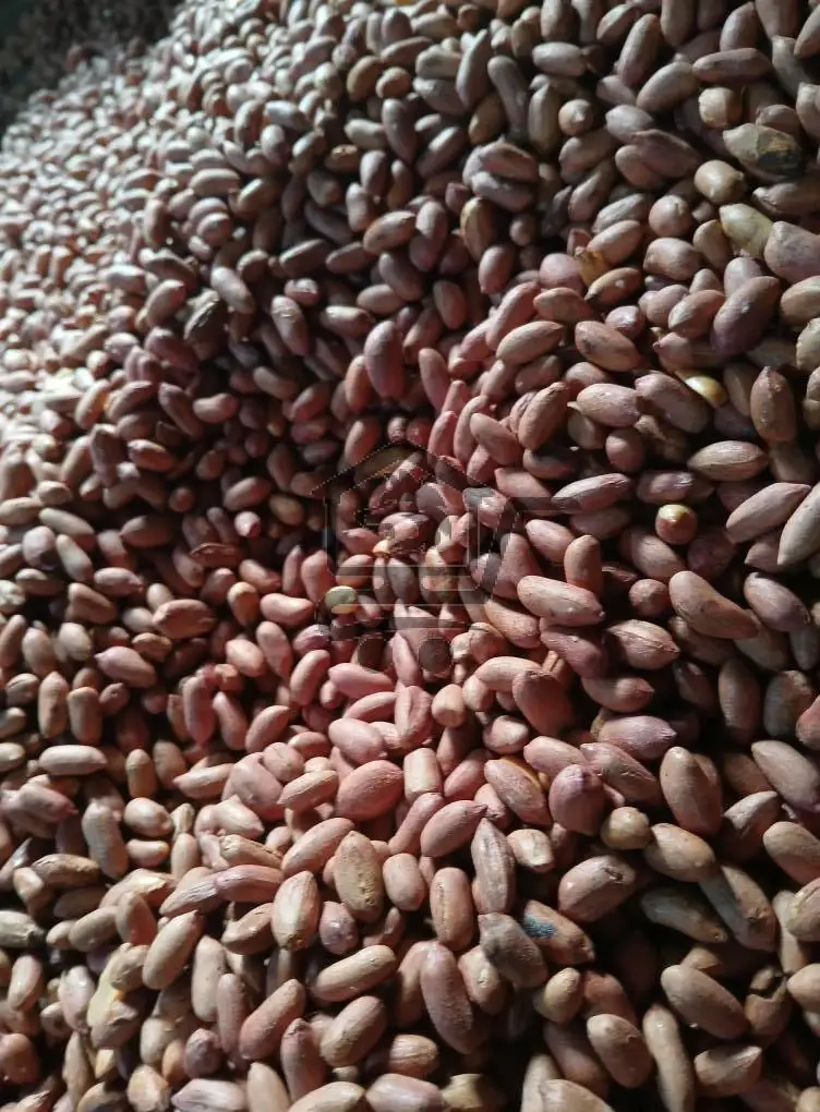 محمصة الزين - الصورة 3