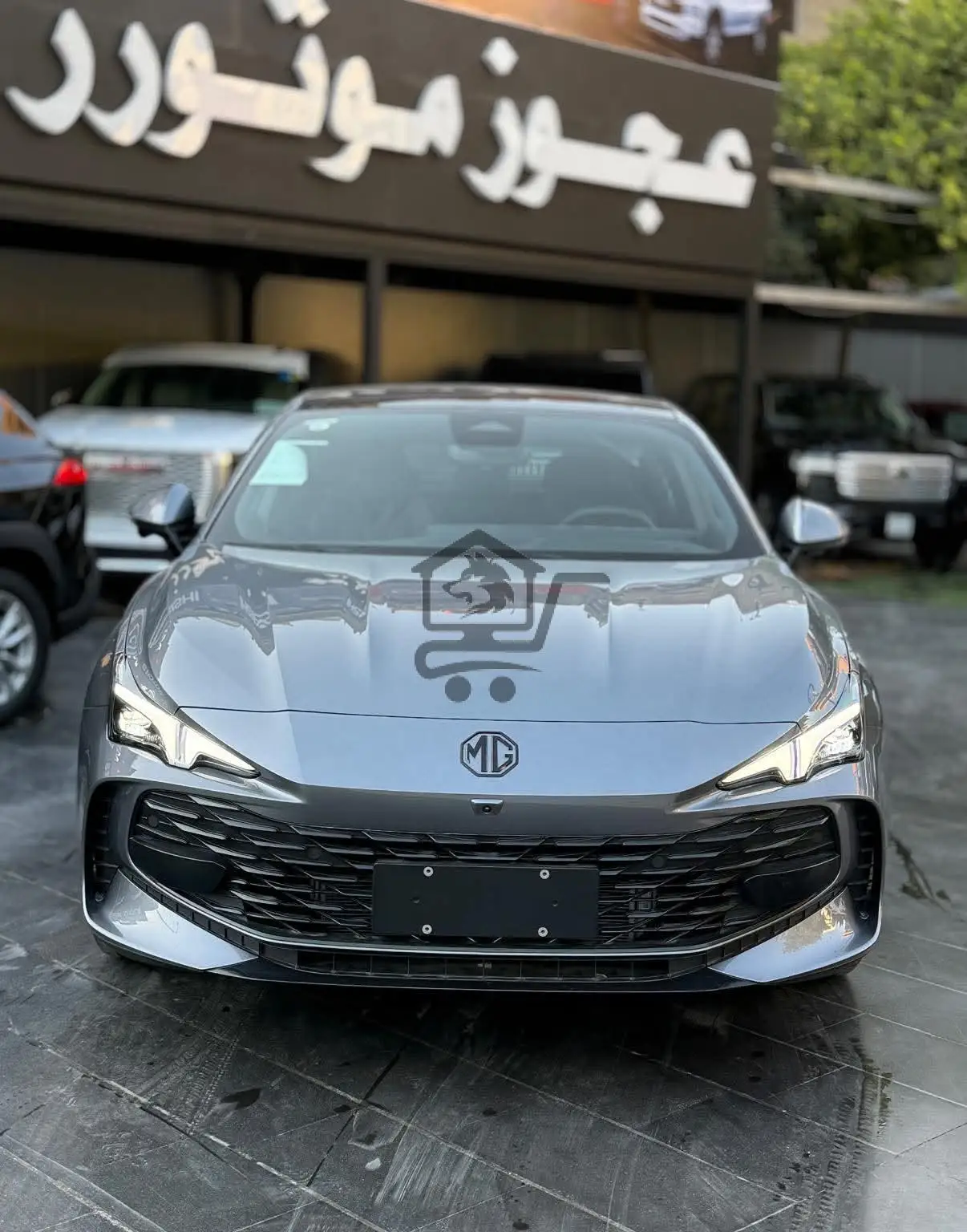 MG 7 - الصورة 8