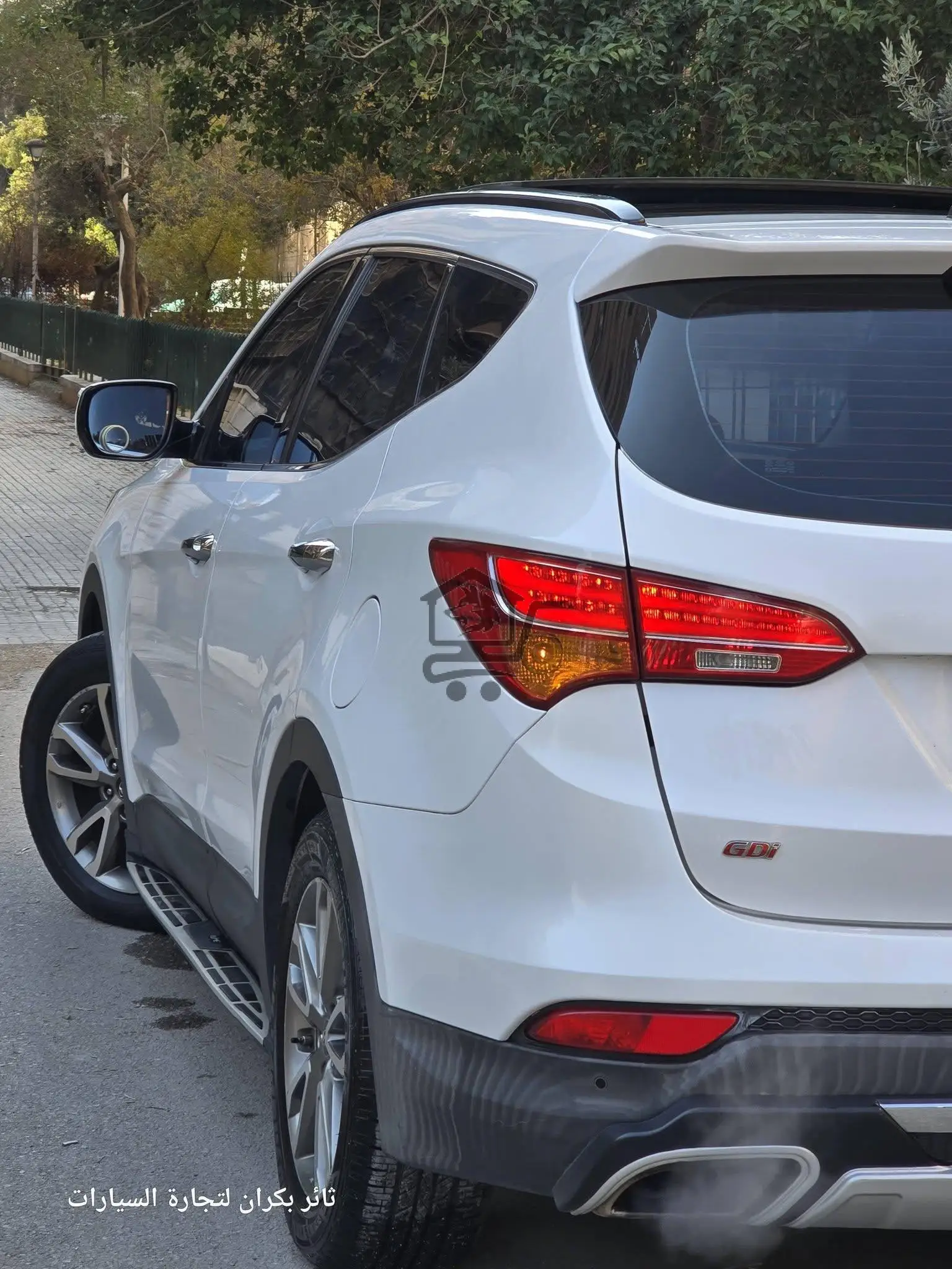 دي ام 2013 - الصورة 7