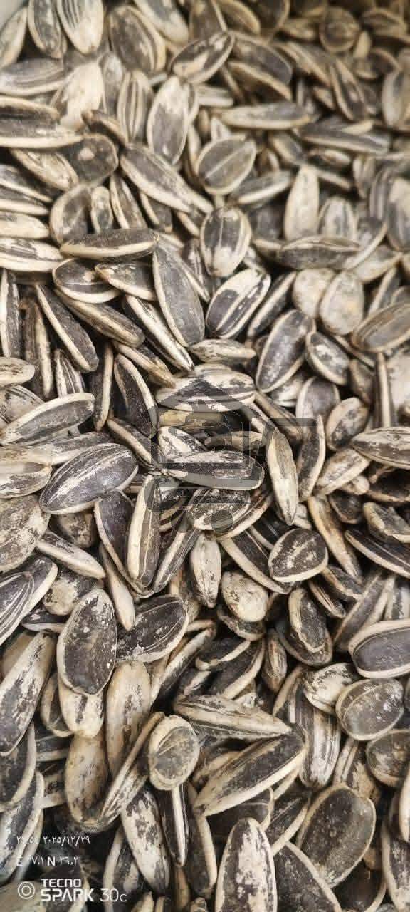 محمصة العلبي - الصورة 7