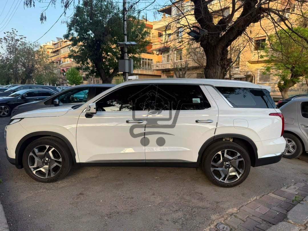 Hyundai Palisade 2024 - الصورة 4