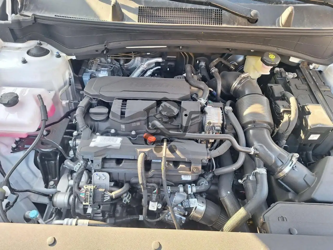 Kia Sportage L 2025 - الصورة 9