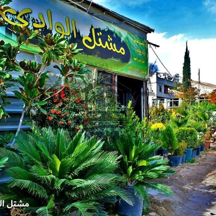 مشتل الوادي - الصورة 1