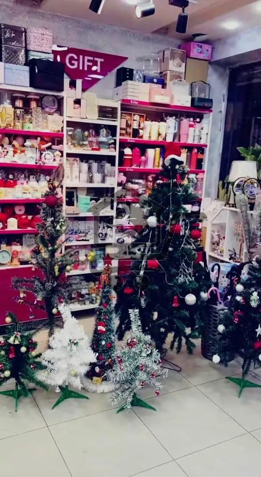 Elegant للهداية - الصورة 5