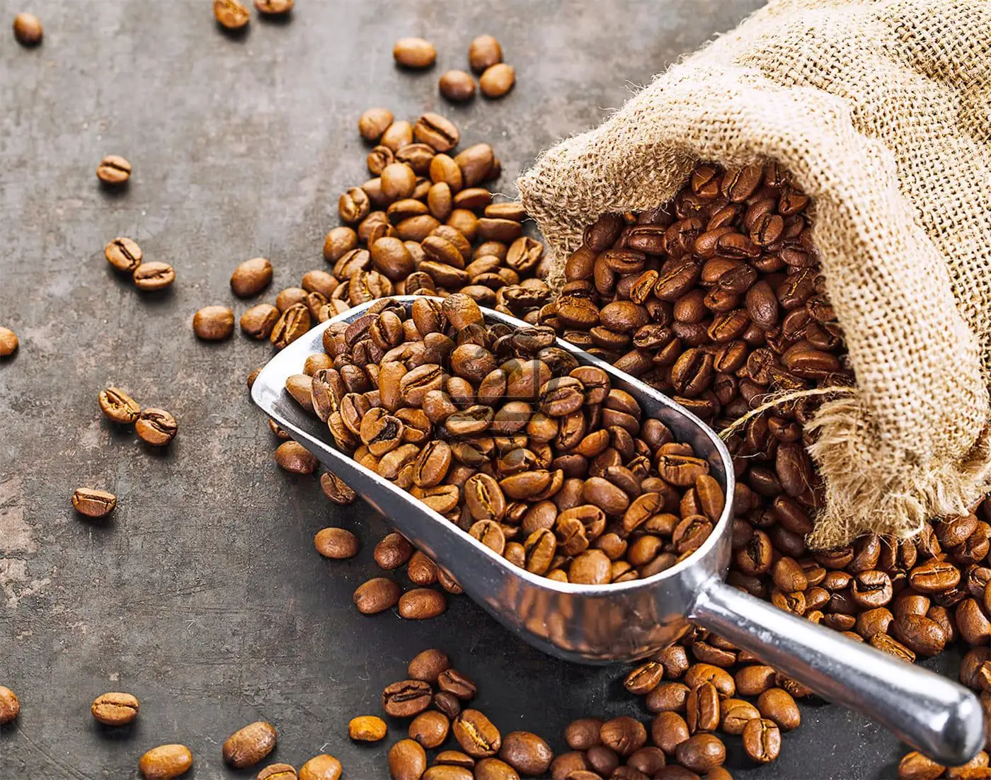 محمصة السلام - الصورة 2